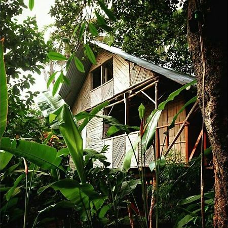 Bambu Hostel David Kültér fotó